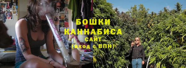 дживик Переславль-Залесский