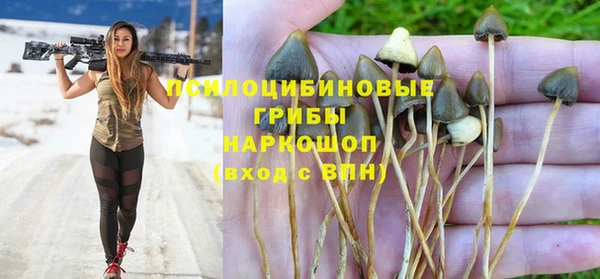 дживик Переславль-Залесский