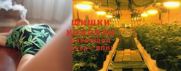 дживик Переславль-Залесский